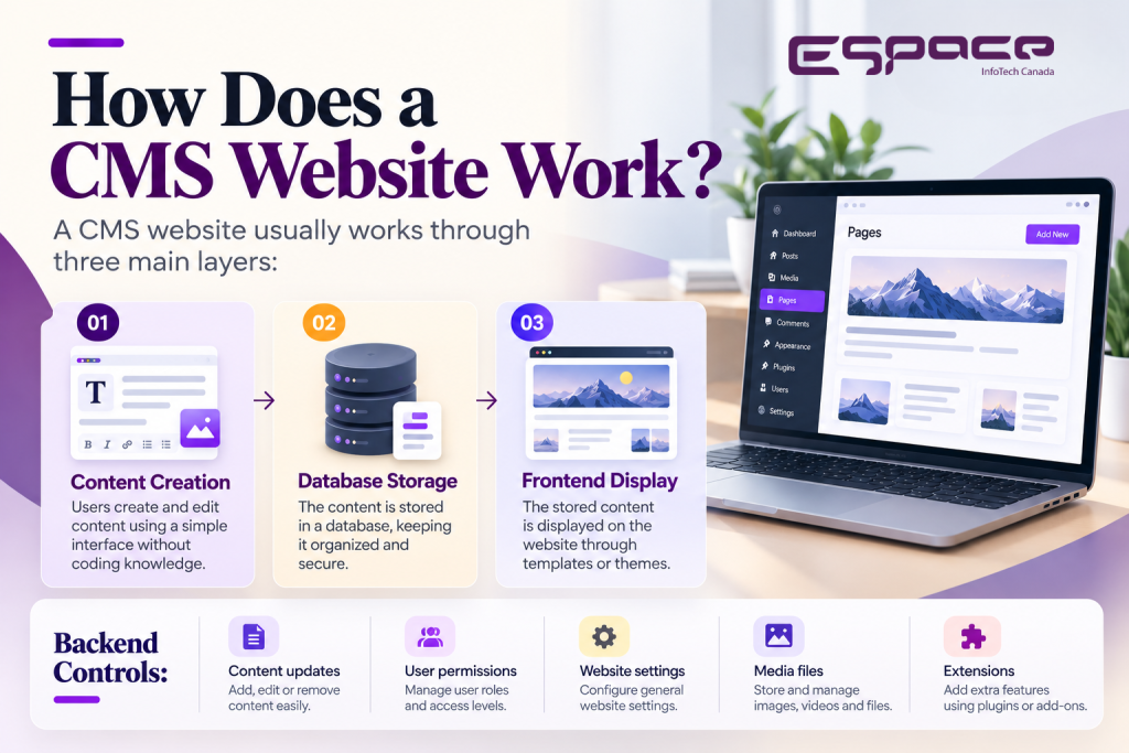 How Does a CMS Website Work