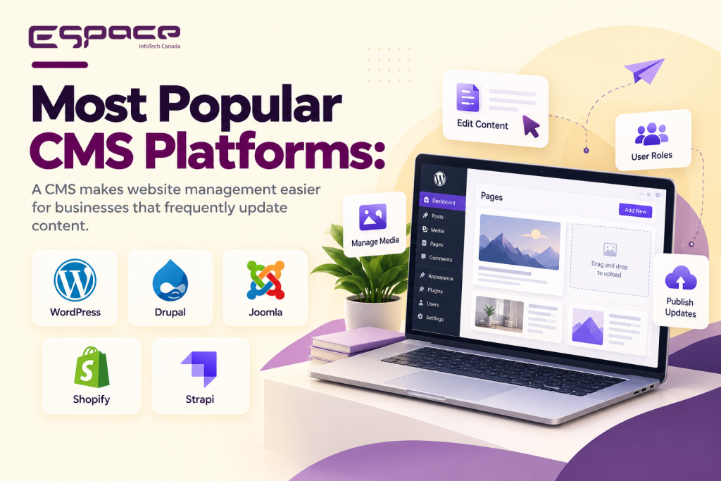 Most Popular CMS Platforms